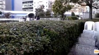 在哪能看到毛片_刚刚更新18禁成人视频